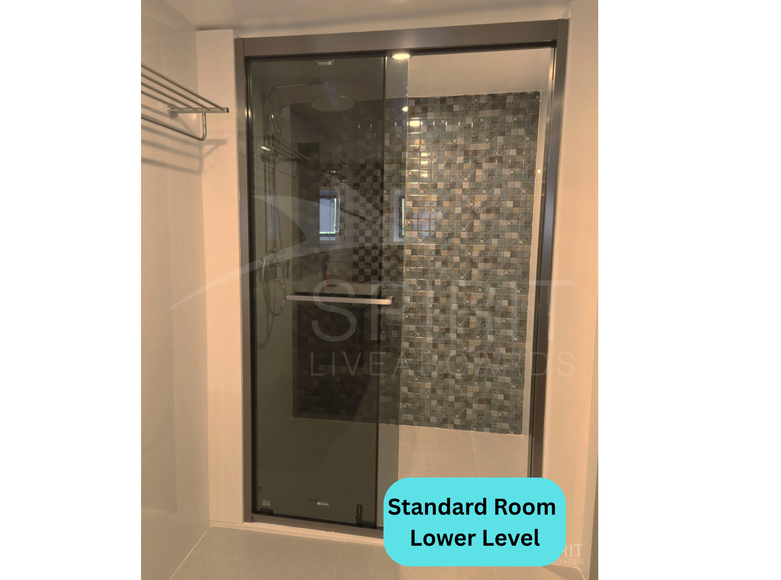 Standard Room Lower Level (3).png