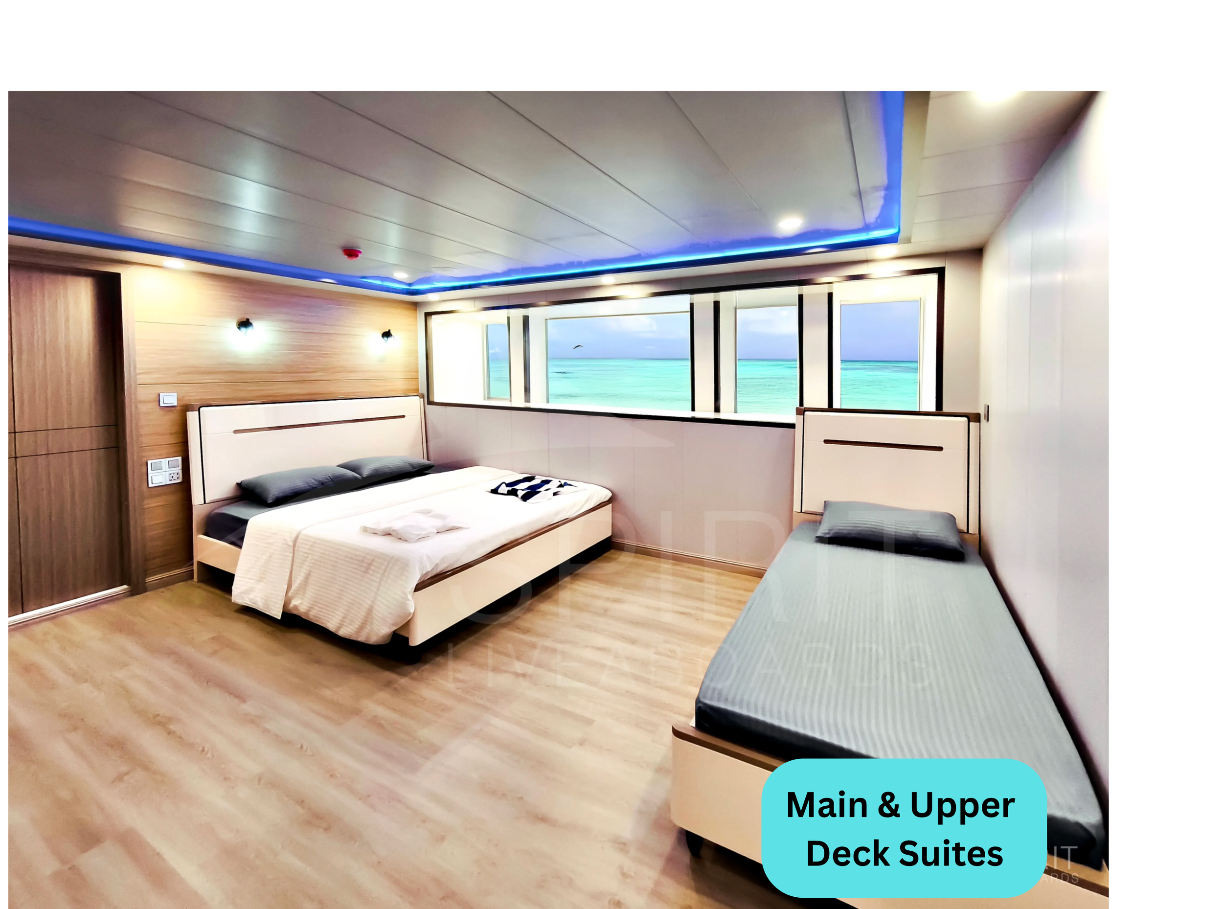 Standard Room Lower Level (4).png