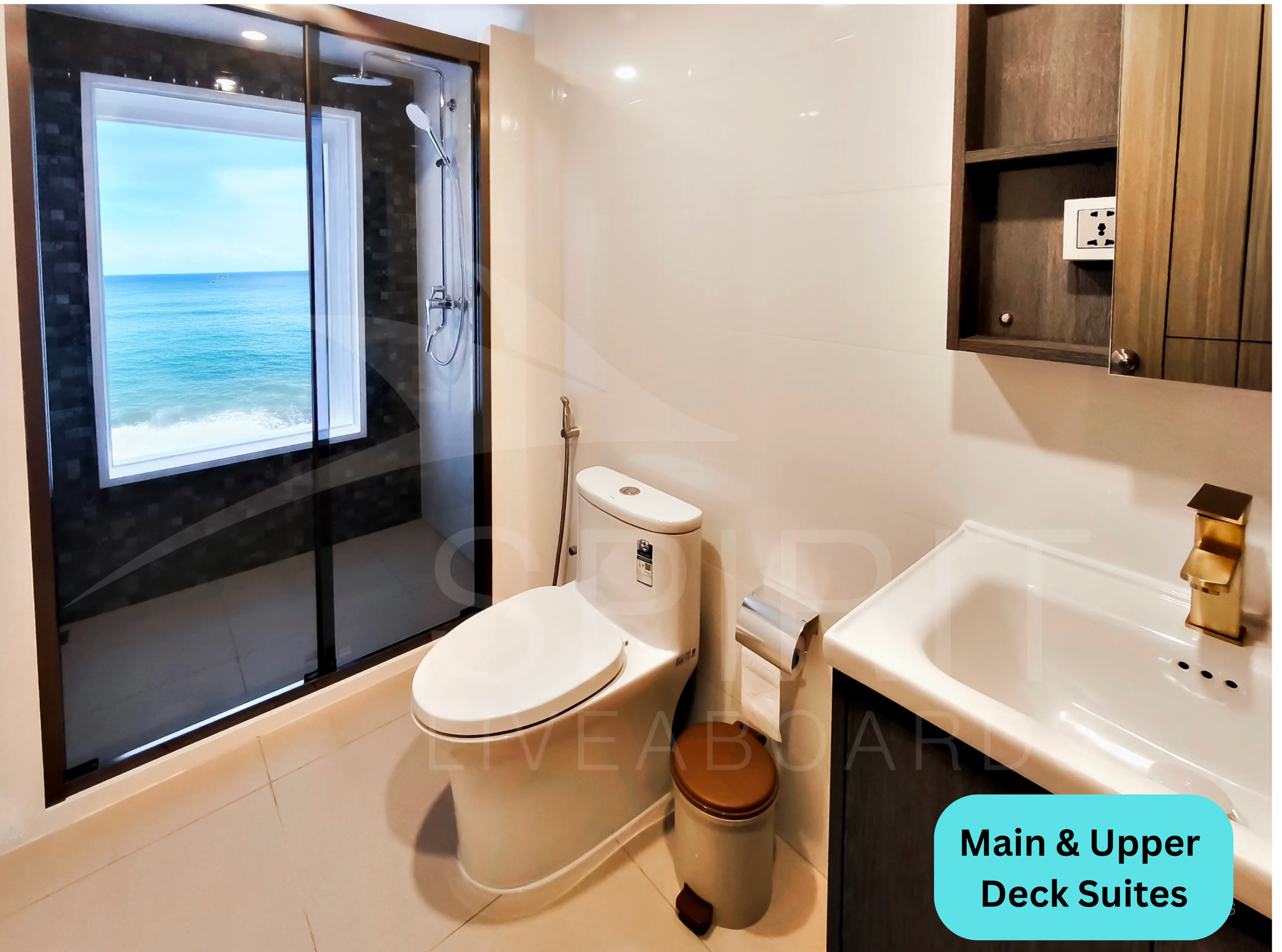 Standard Room Lower Level (6).png