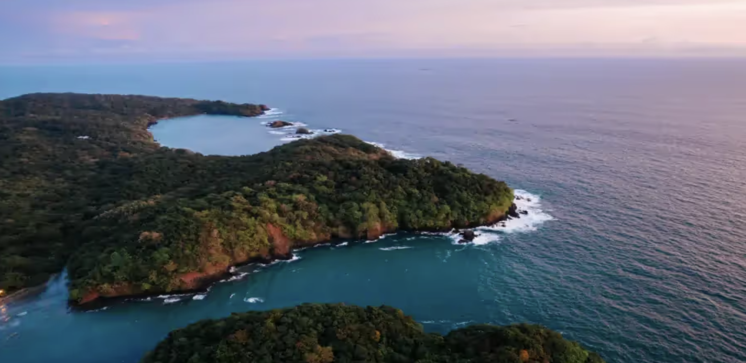 Screen Shot 2026-02-20 at 11.56.53 AM.png