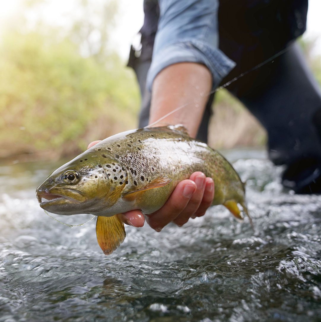 Montana-Trout-Fishing-2.jpg