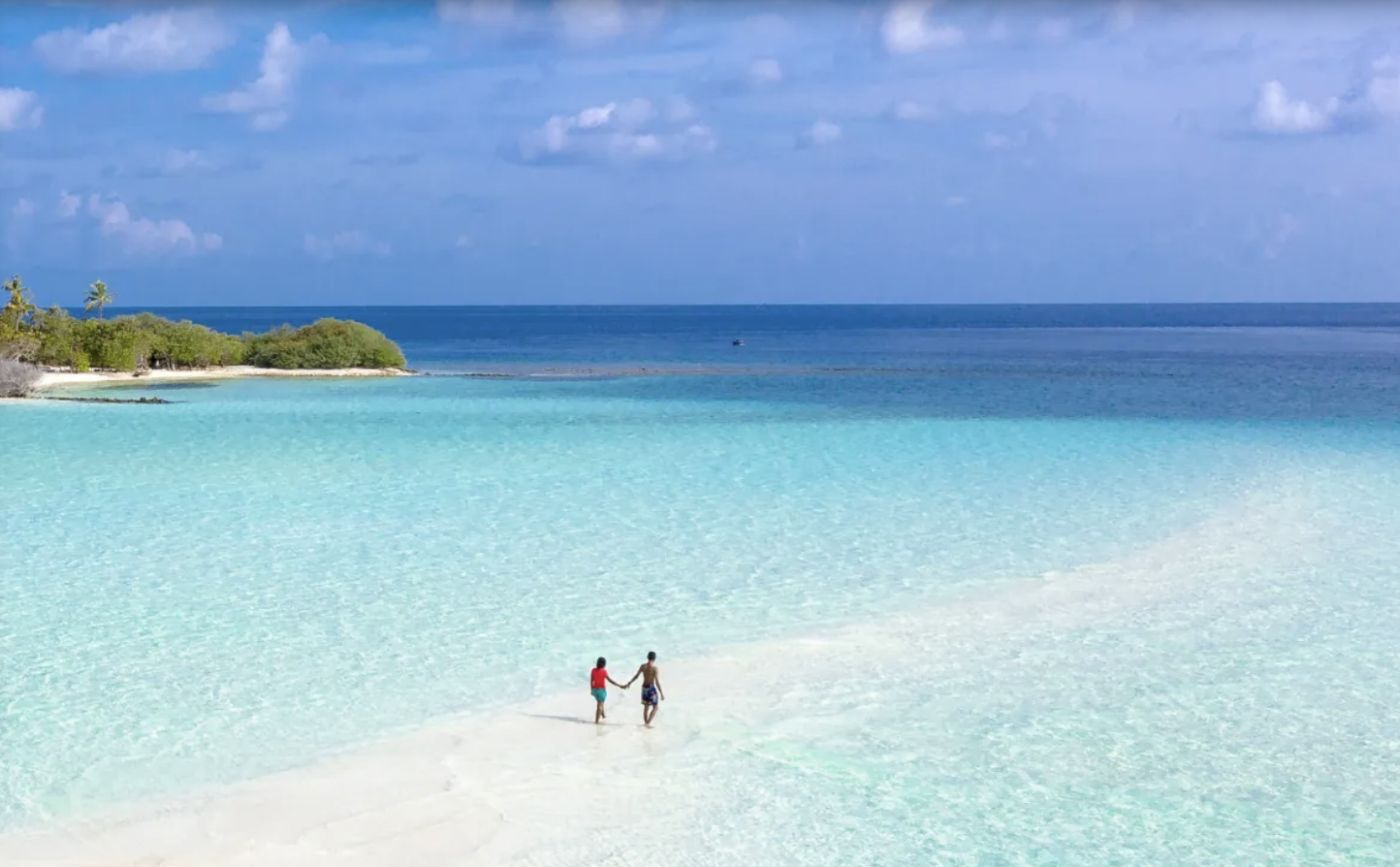 Screen Shot 2026-01-02 at 8.18.34 PM.png