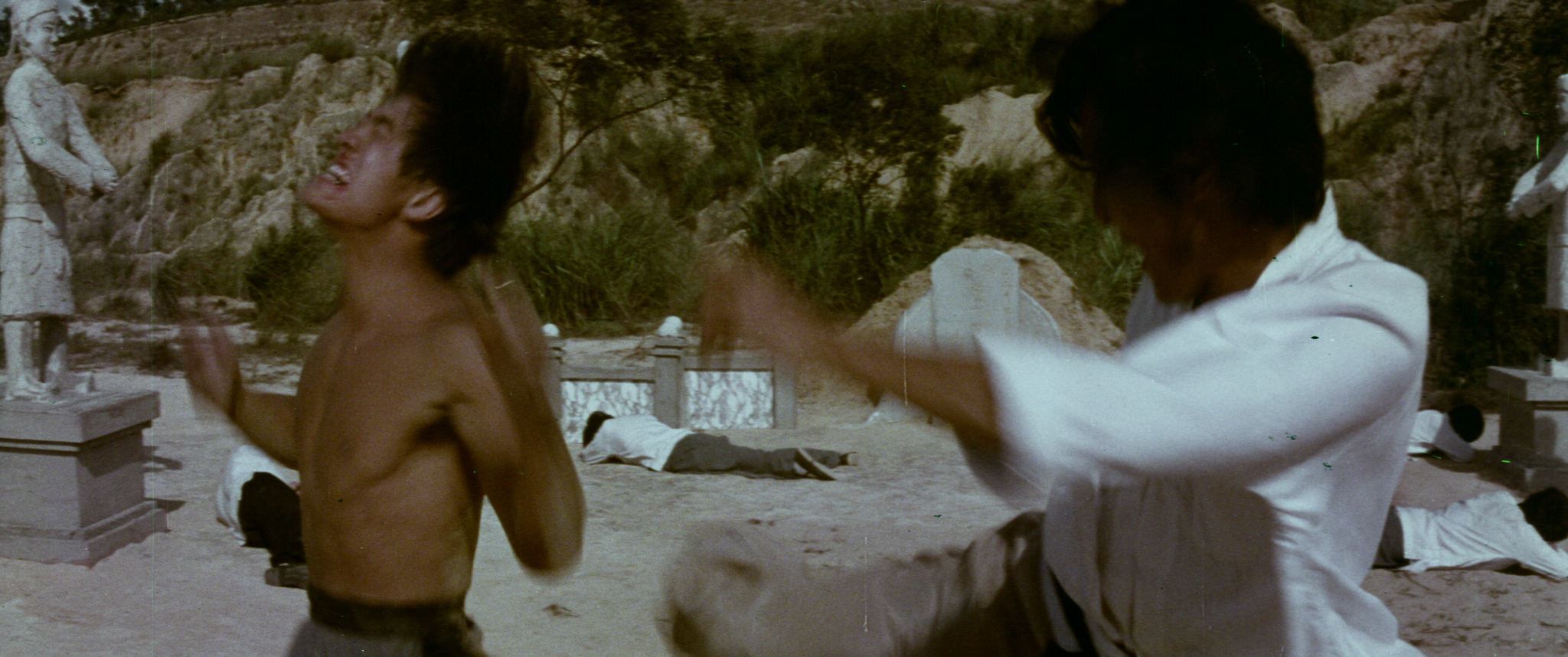 Enter The Panther (1976) Blu-ray — Terror Vision Records and Video