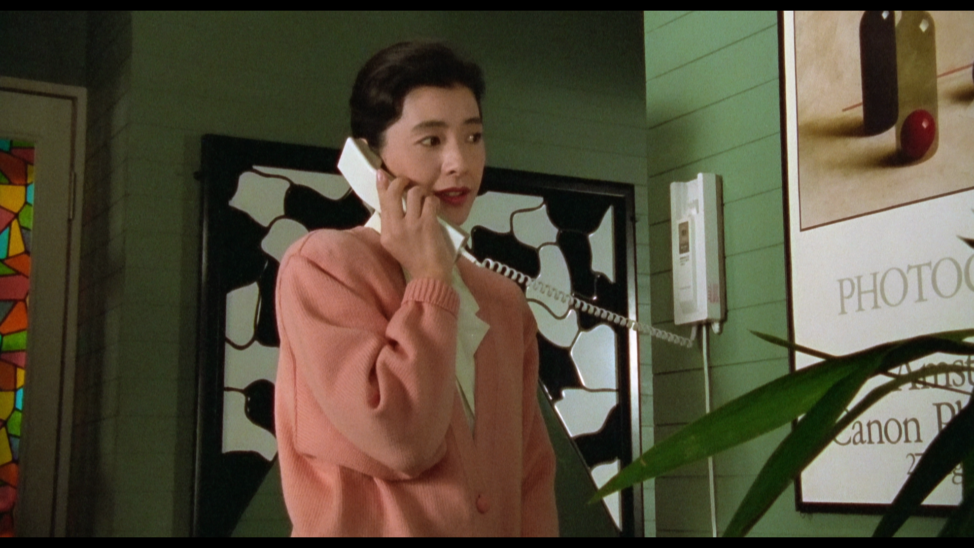 Door (1988) Blu-ray — Terror Vision Records and Video