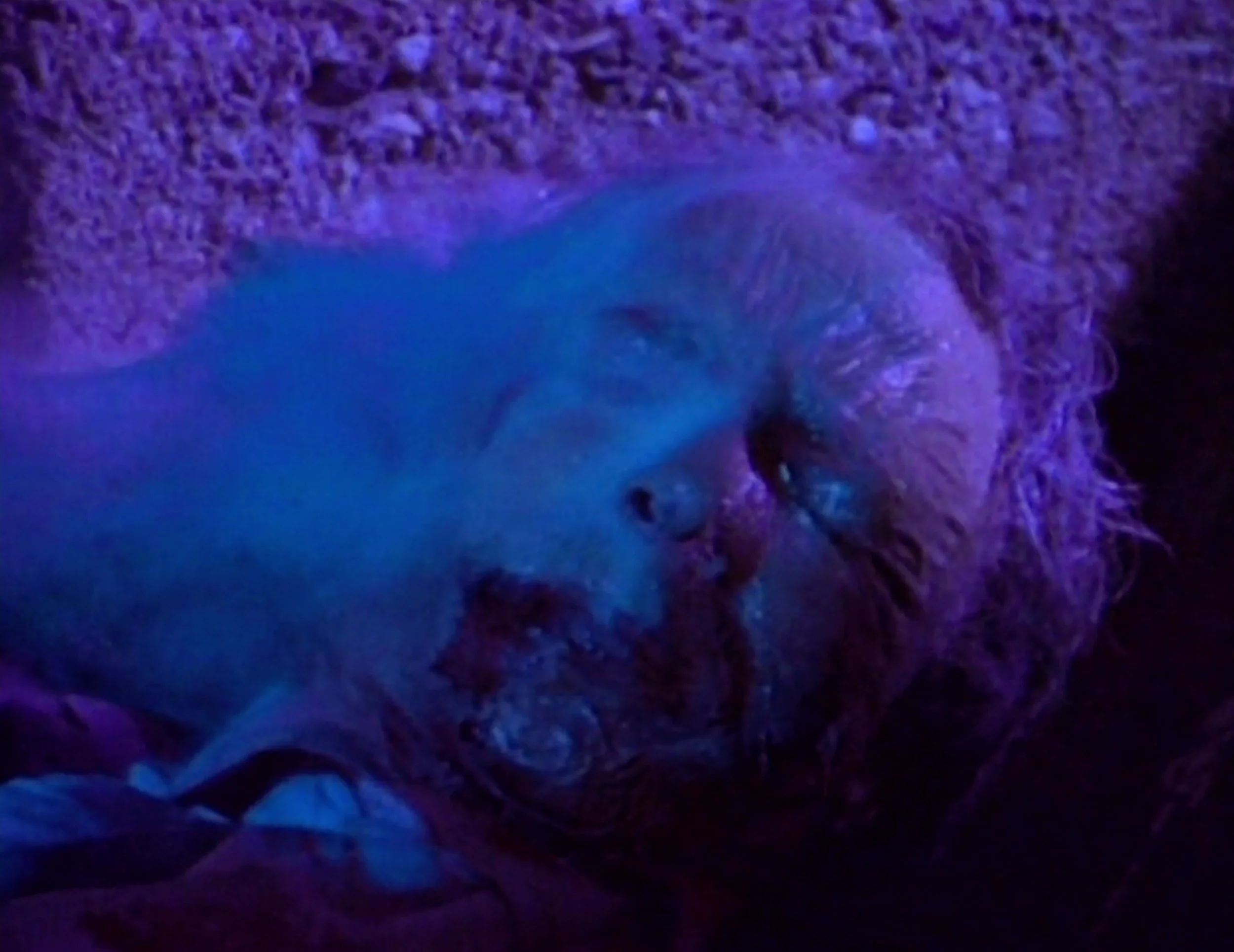 Image 9-30-25 at 10.47 AM(1).jpeg