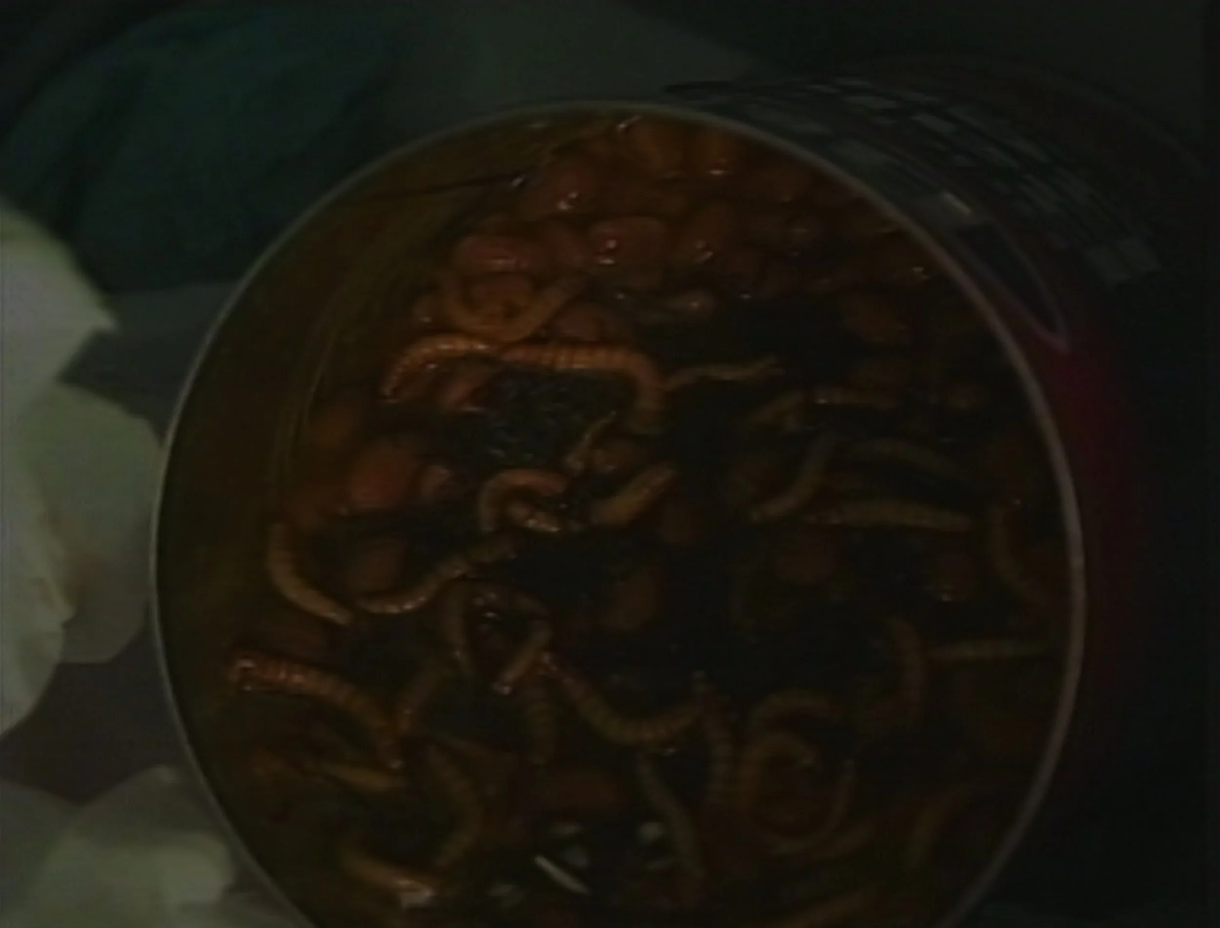 Image 10-29-25 at 4.58 PM.jpeg