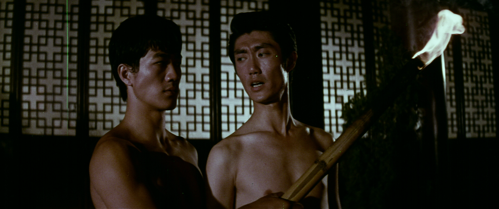 Enter The Panther (1976) Blu-ray — Terror Vision Records and Video
