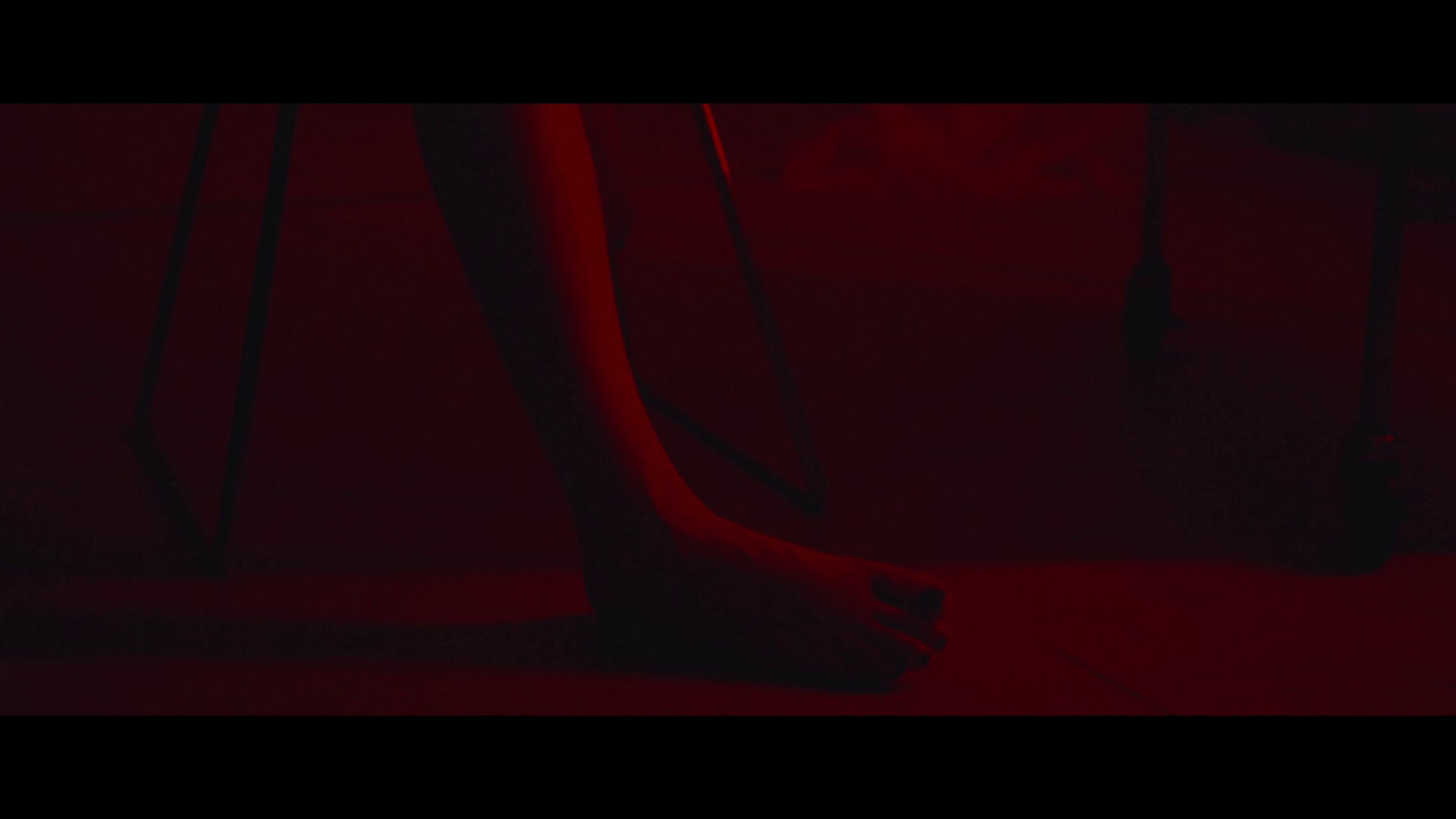 vlcsnap-2026-09-30-12h39m50s407.png