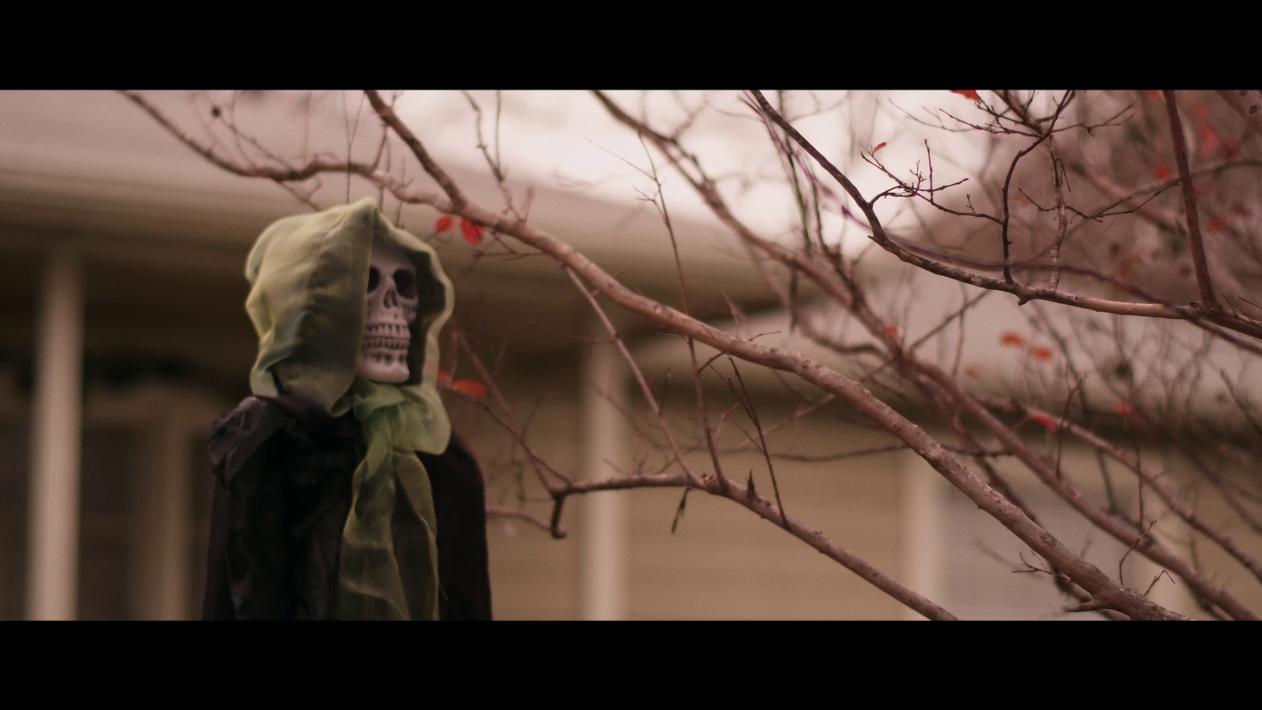 vlcsnap-2026-09-30-12h06m41s522.png