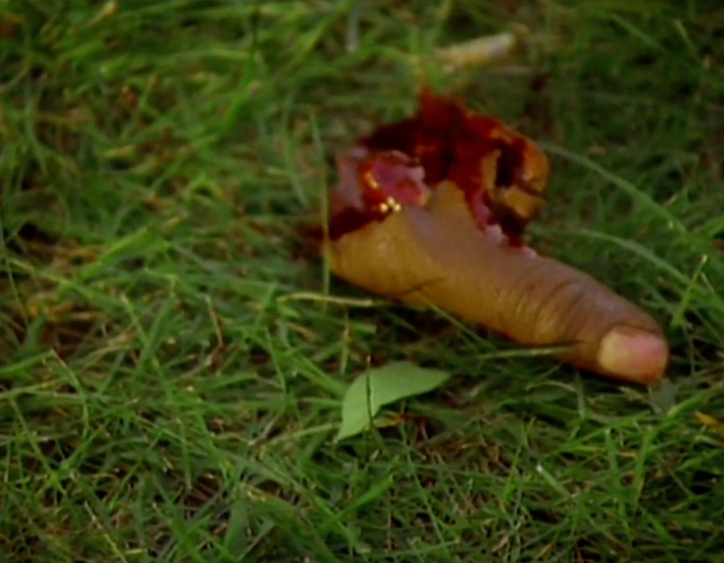 Image 9-30-25 at 10.43 AM.jpeg