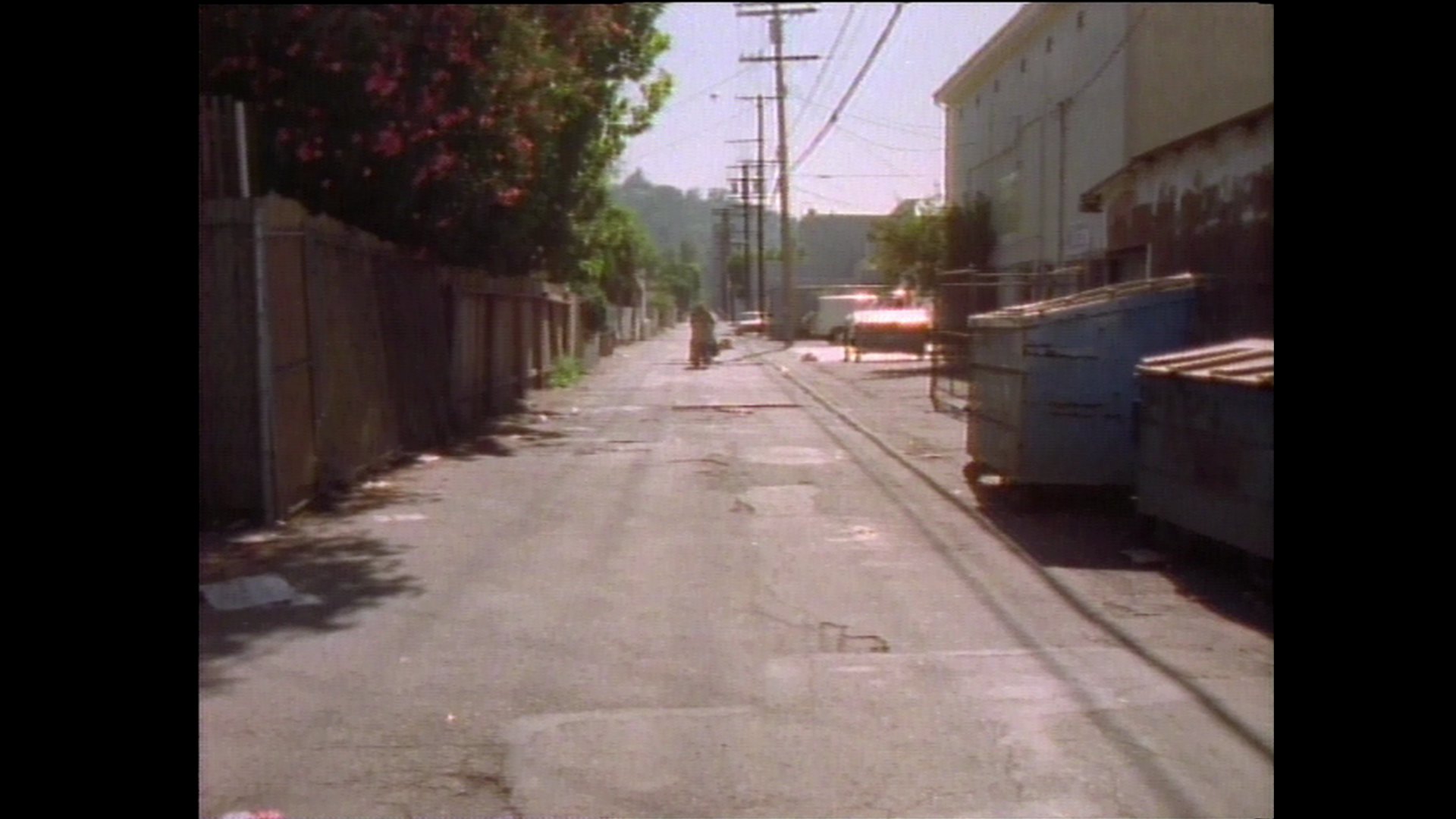 vlcsnap-2026-10-06-14h54m03s112.png