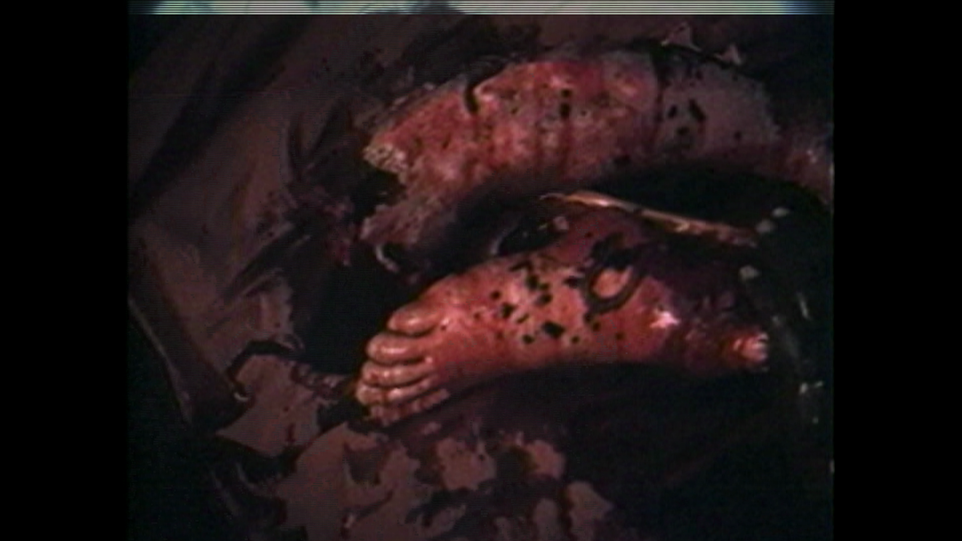 vlcsnap-2026-10-01-15h20m33s069.png