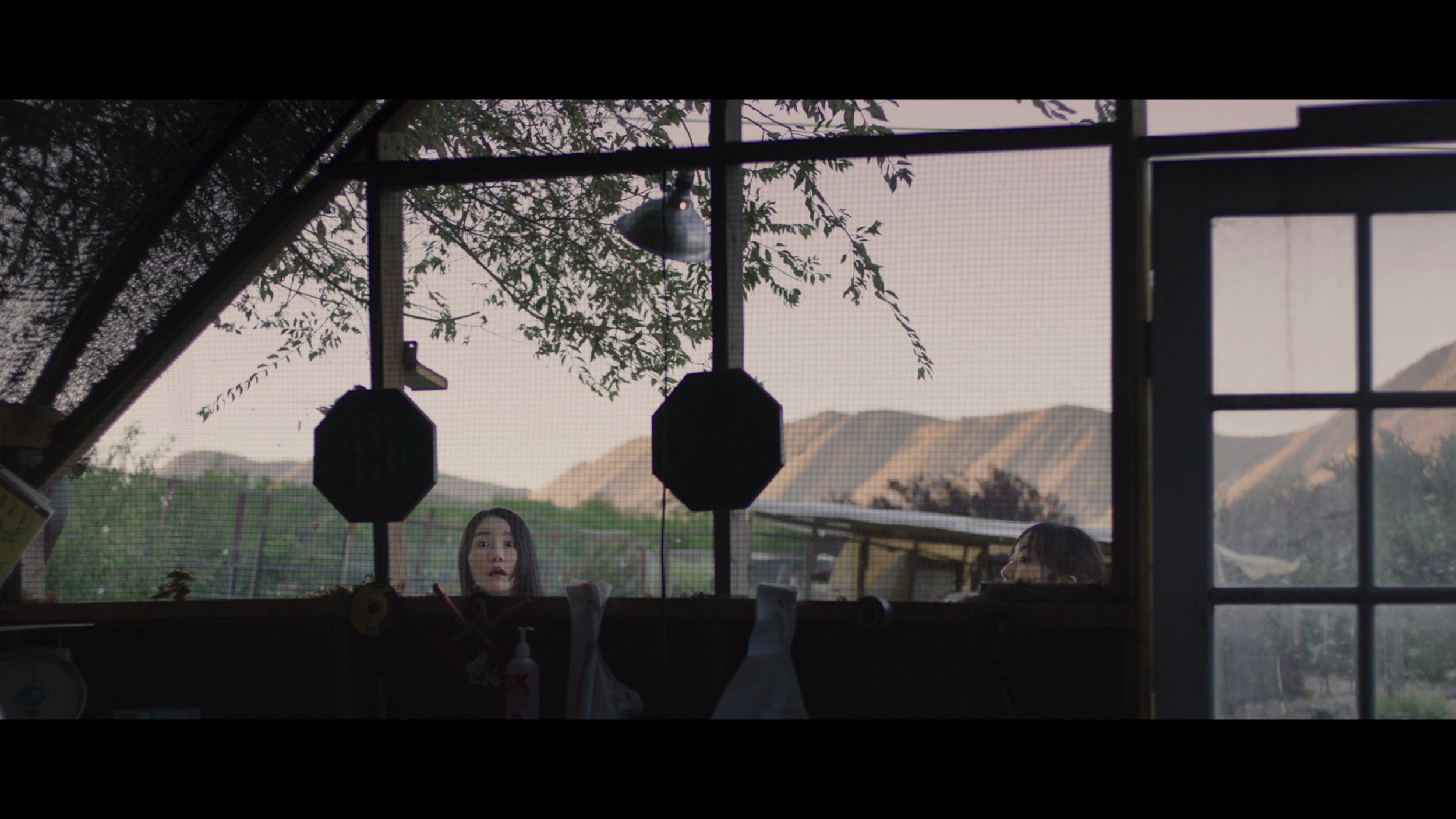 vlcsnap-2026-09-30-12h02m04s356.png