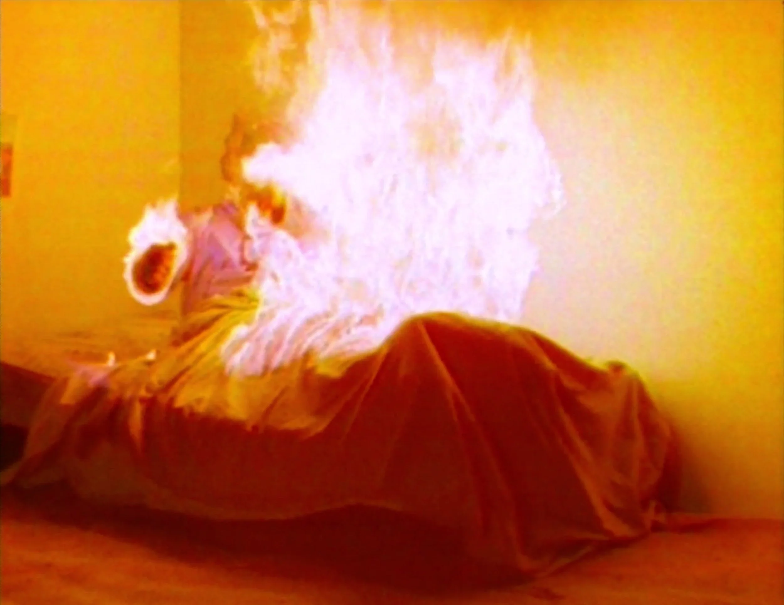 Image 9-30-25 at 10.41 AM.jpeg