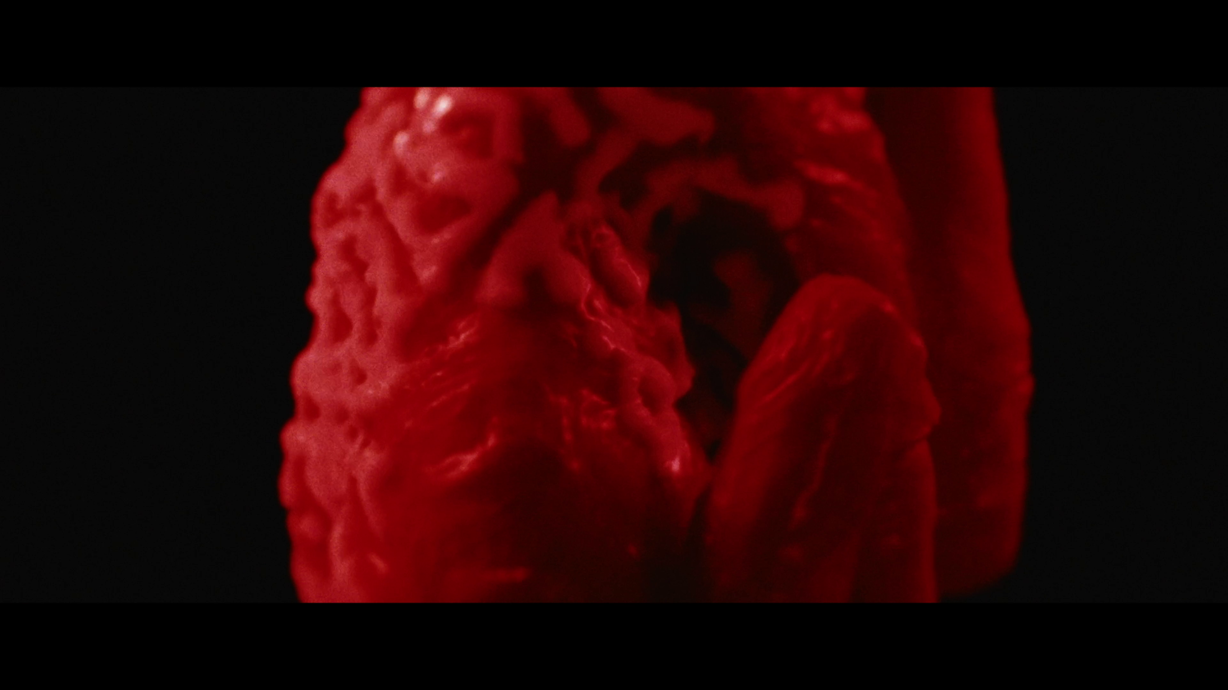 vlcsnap-2026-09-30-12h41m20s090.png