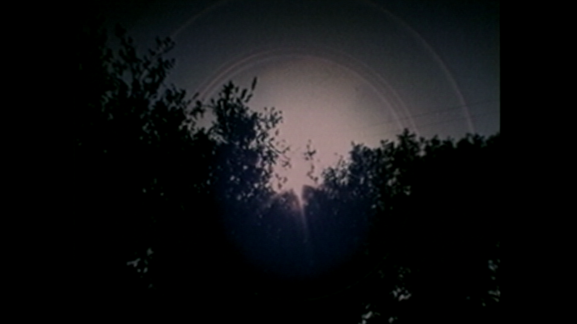 vlcsnap-2026-10-01-15h21m54s419.png