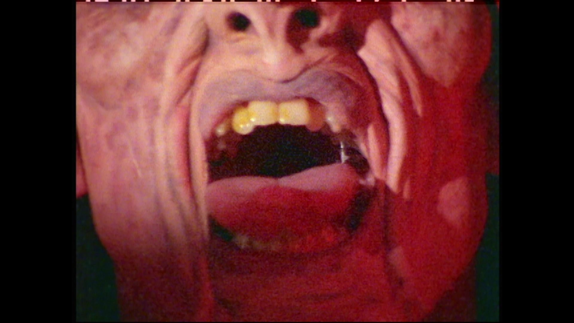90'Sムービー・セレクション(ホラー・スリラー編) 90sNightmares_BUNDLE.jpg?