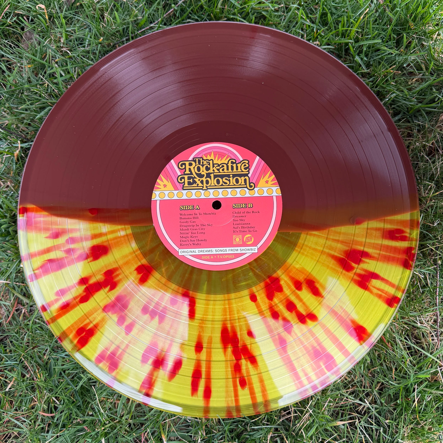The Rock-afire Explosion LP — Terror Vision Records and Video