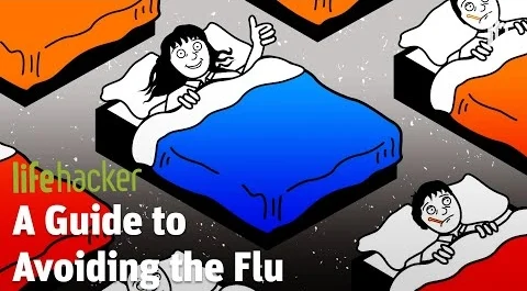 How To Not Get the Flu
