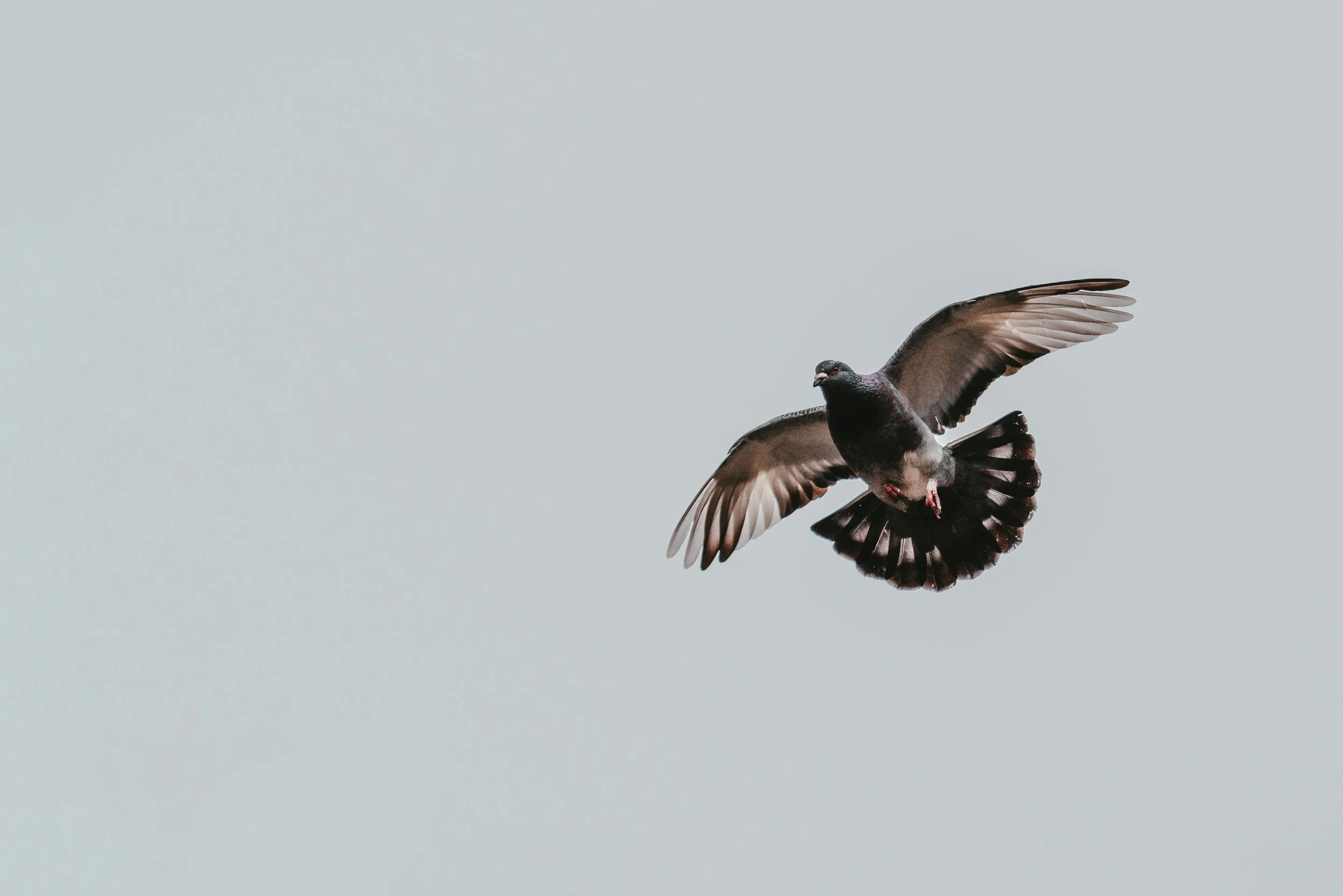 unsplash-image-djB_vzctyLg.jpg