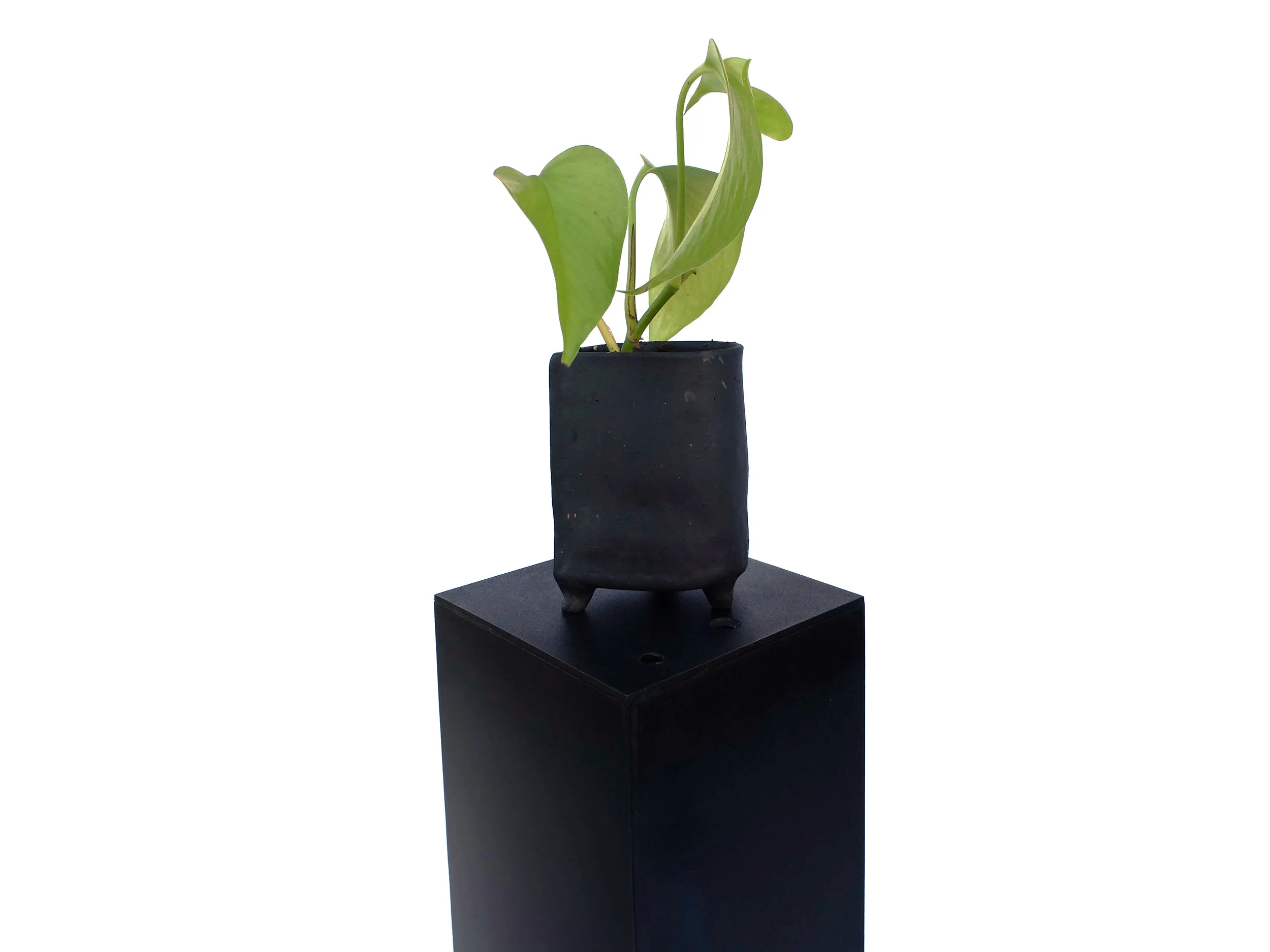 ONYX CRIMBIL DISPLAY PEDESTALS