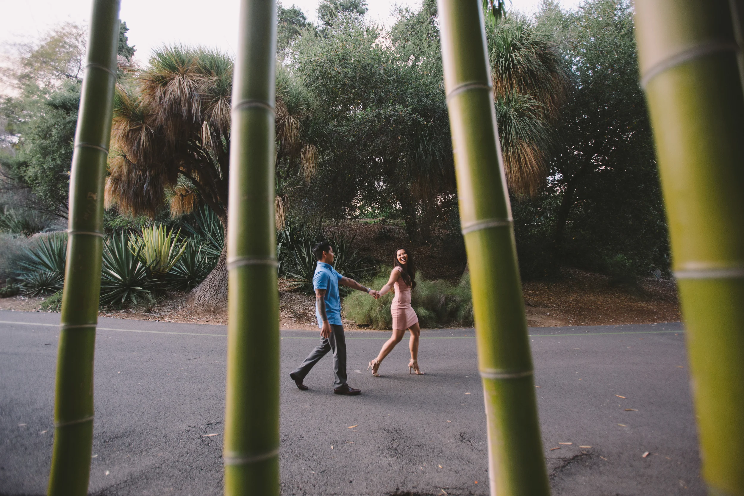 Engagement session at the Los Angeles Arboretum 