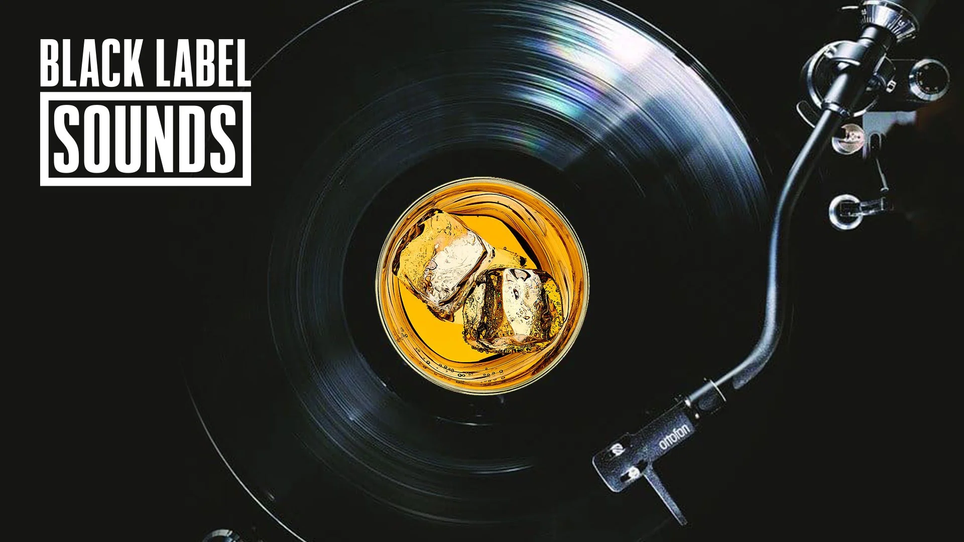 Vinyl.jpg