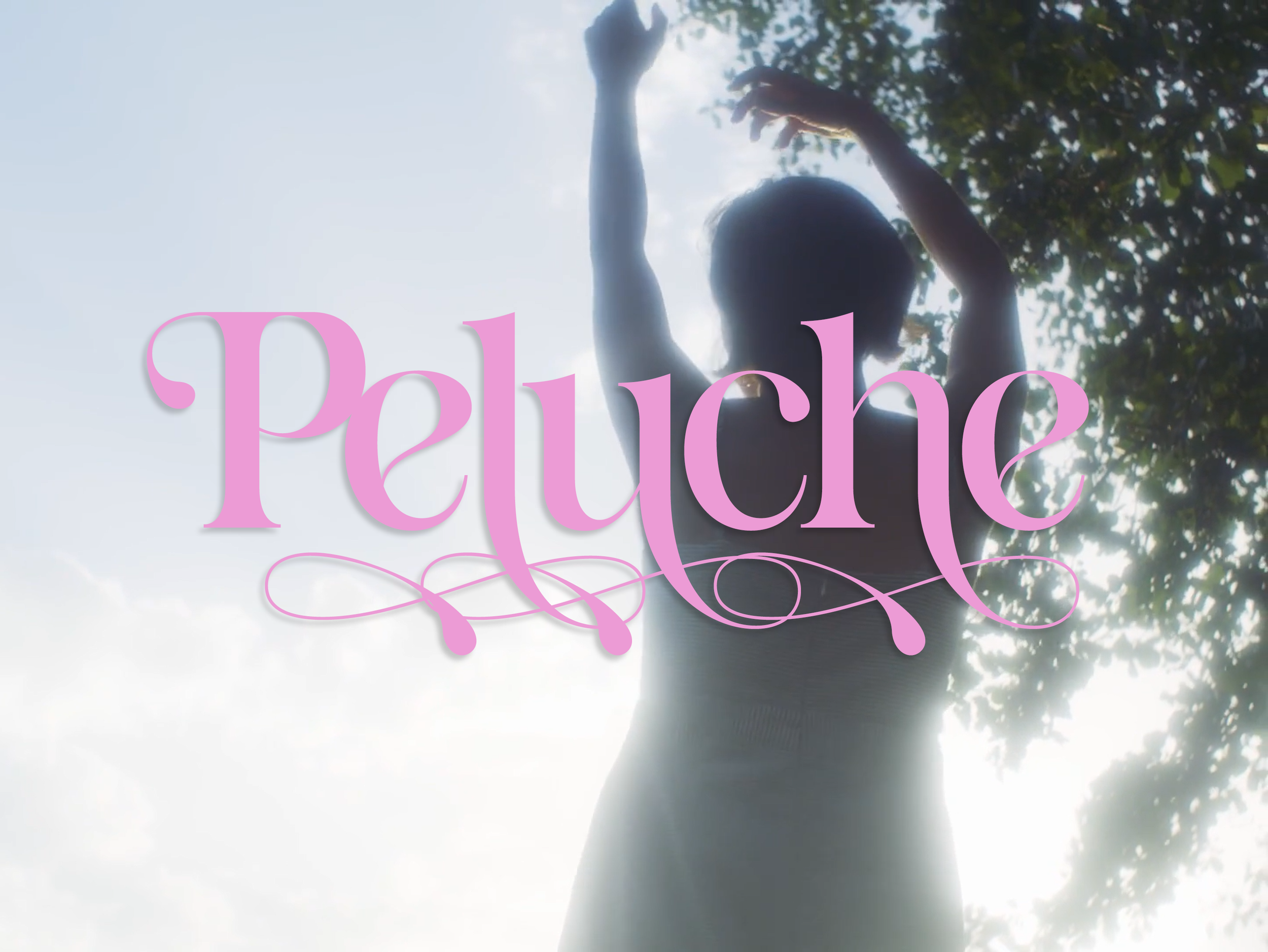 Peluche TITLE.png