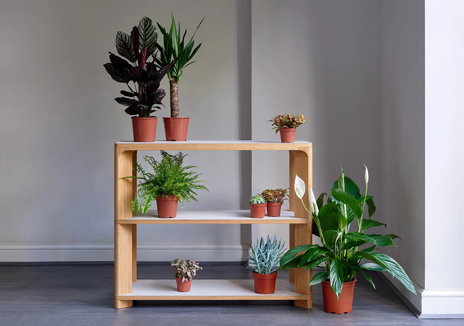 Another-Brand-Lastra-Shelving-Console-by-Emile-Jones.jpg