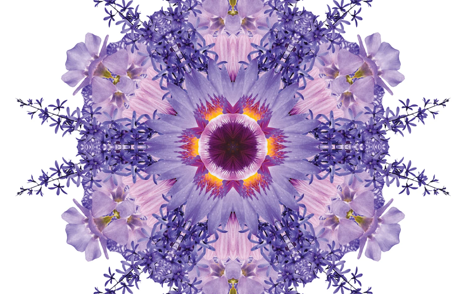 flora-web9.jpg