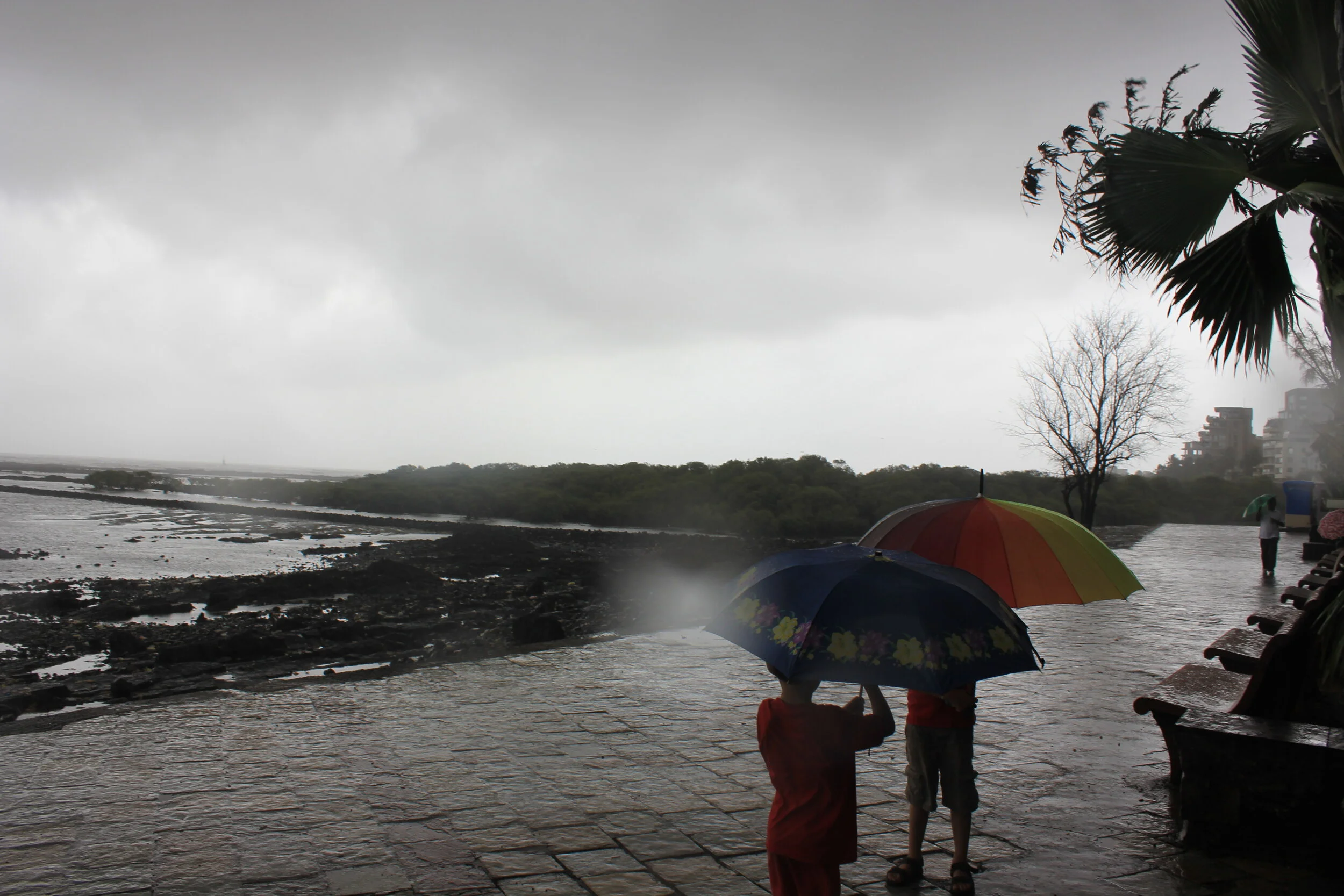 india juni-juli 2013 841.JPG