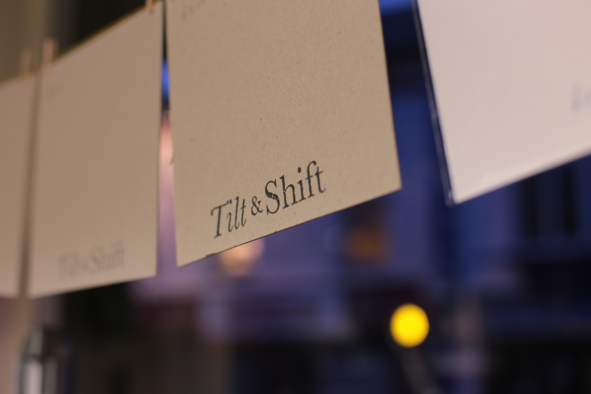 In a Different Light