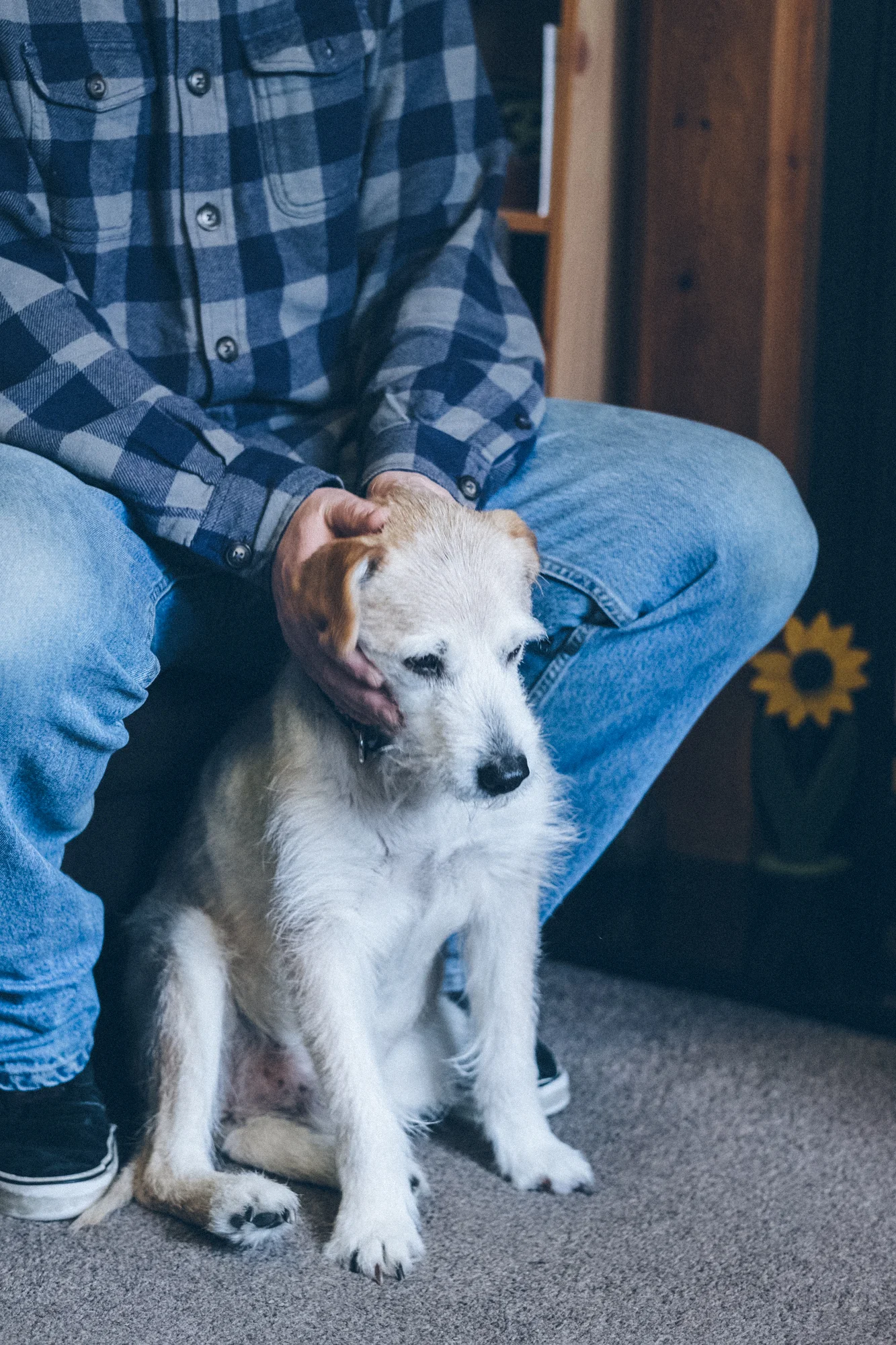 Special appearance by George the dog