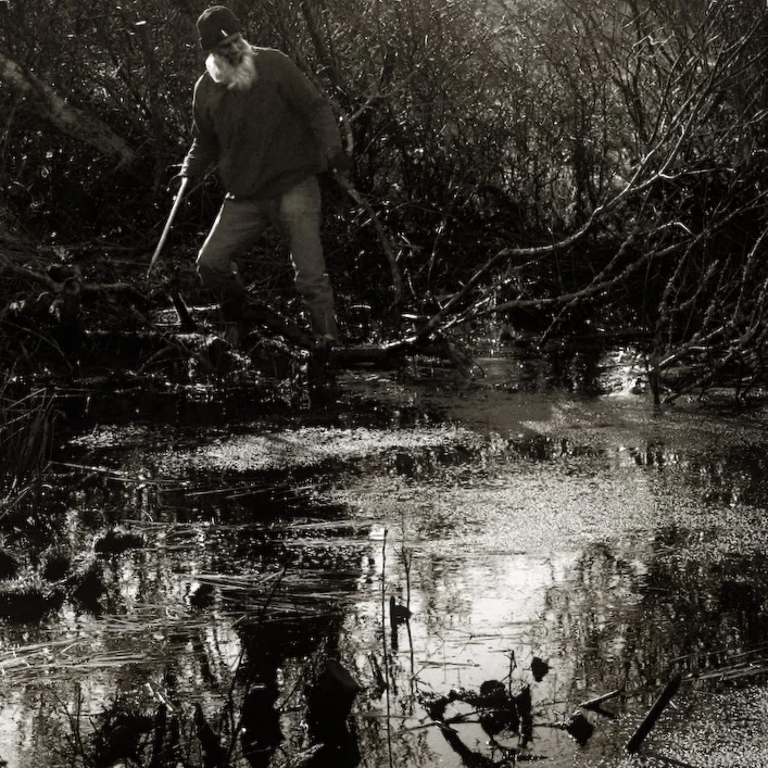  Image © Chris Tancock 