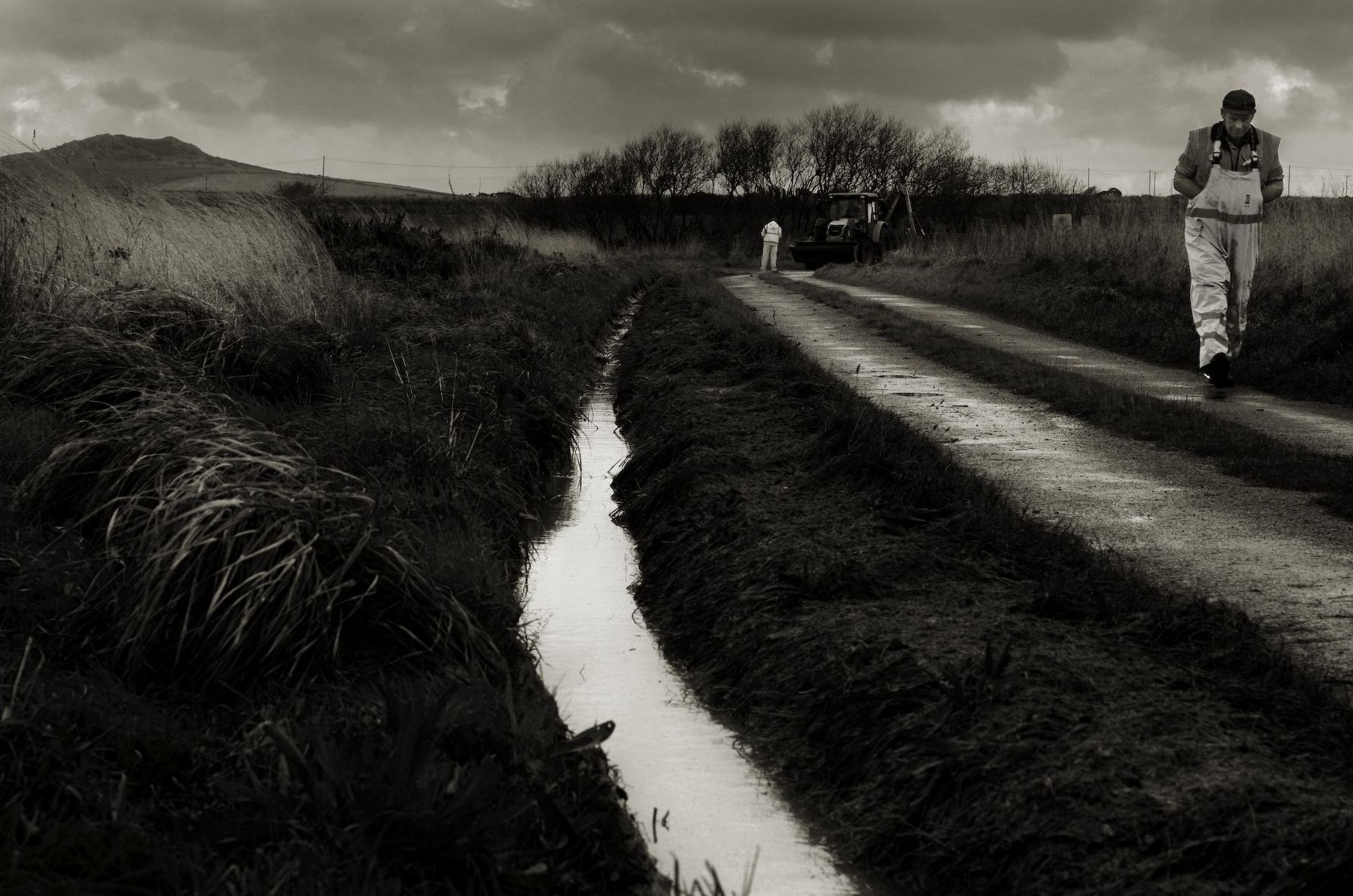  Image © Chris Tancock 