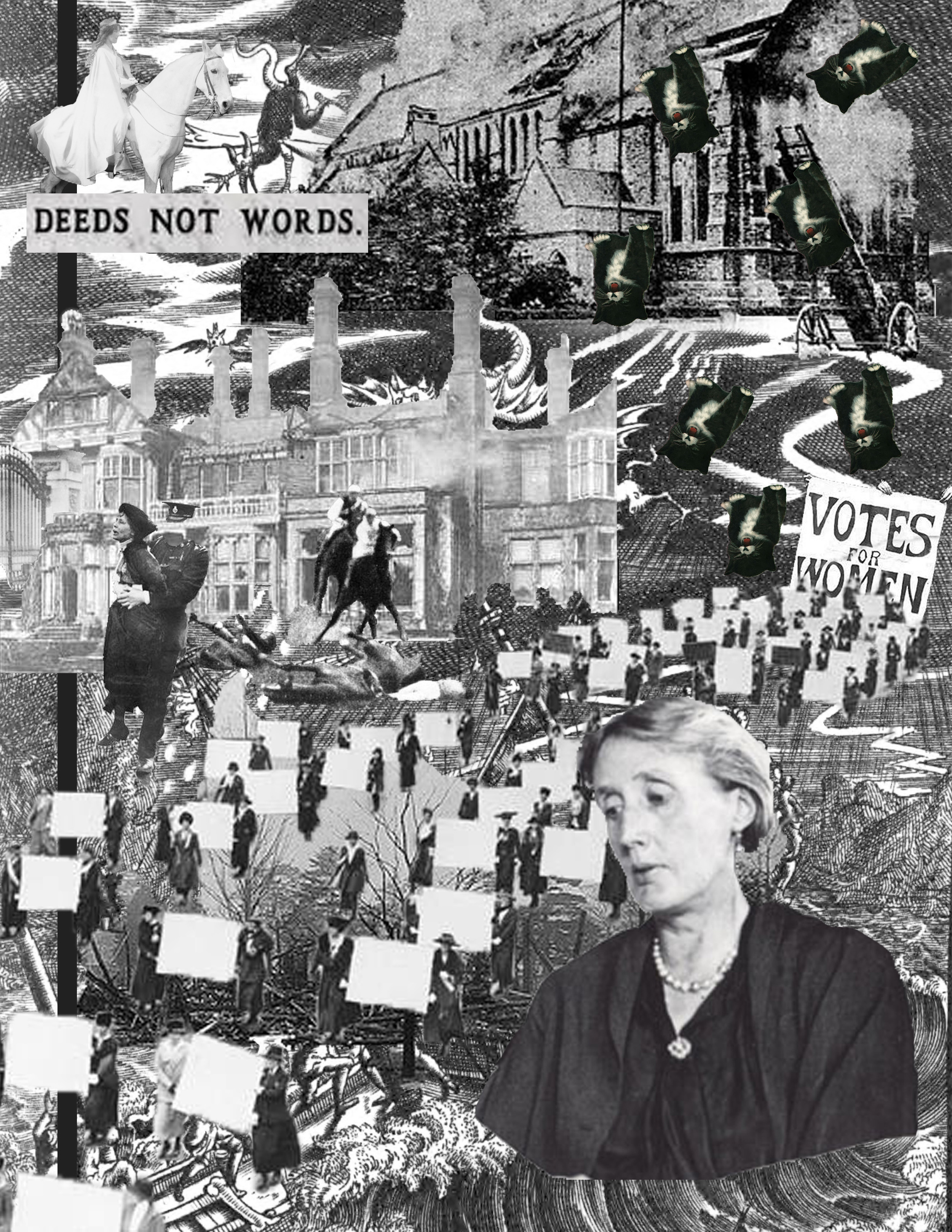 cats do not go to heaven,&nbsp;women cannot write the plays of shakespeare© Hannah Saunders