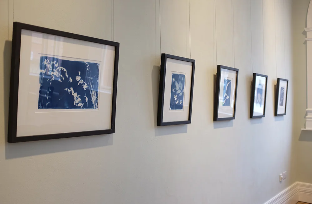 Cyanotypes form part of the exhibition