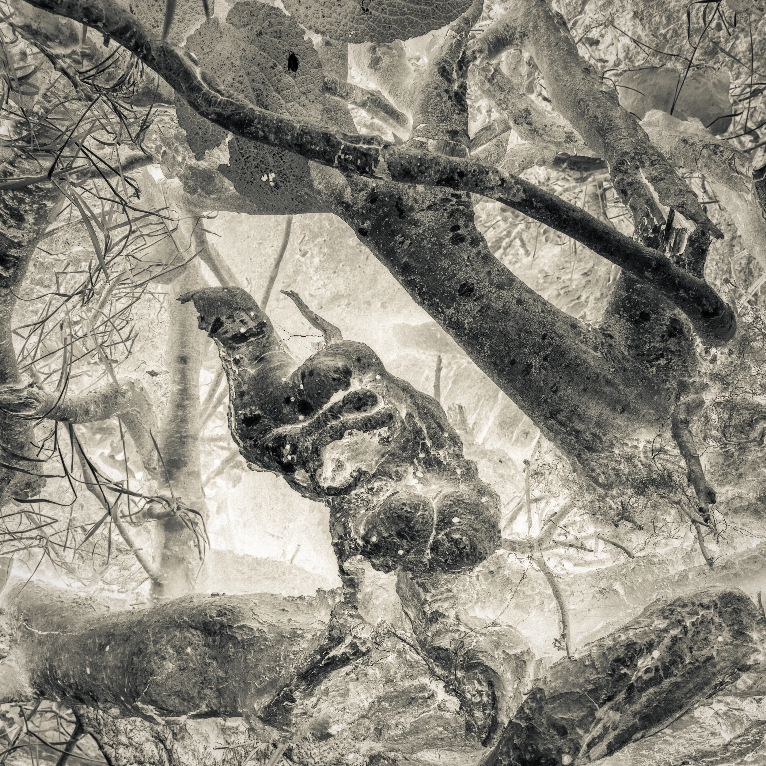 Video: Matt Botwood on 'Dark Spaces'