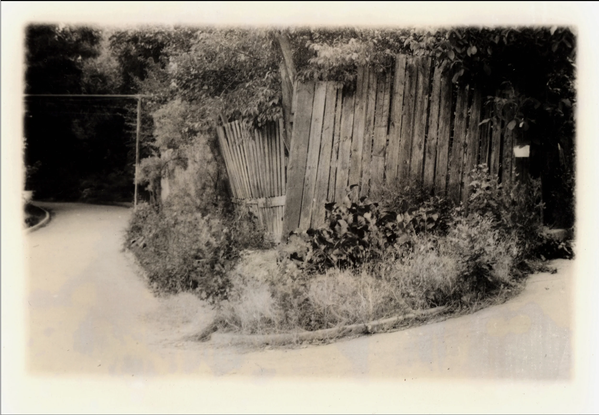 Andrew Pershin expansion overlay.jpg