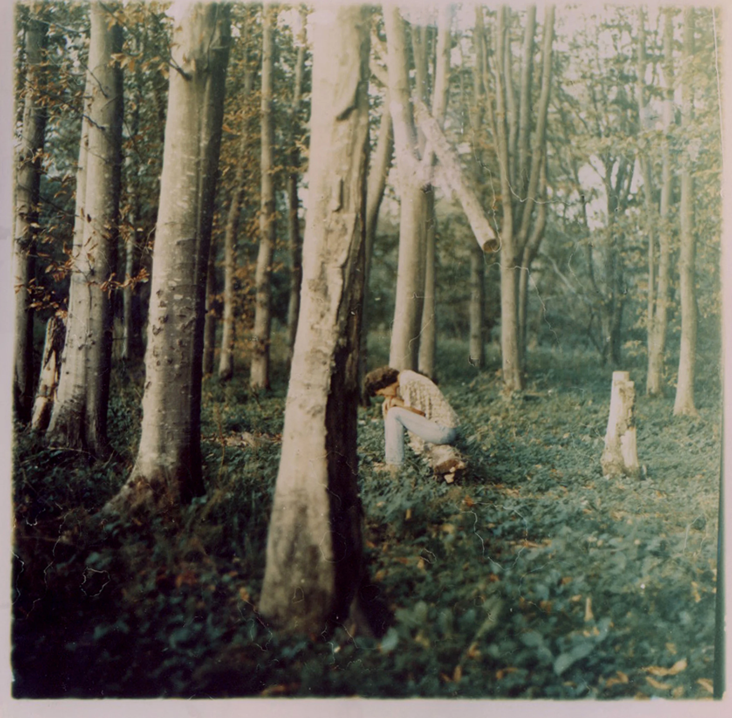 Andrew Pershin Juna.jpg