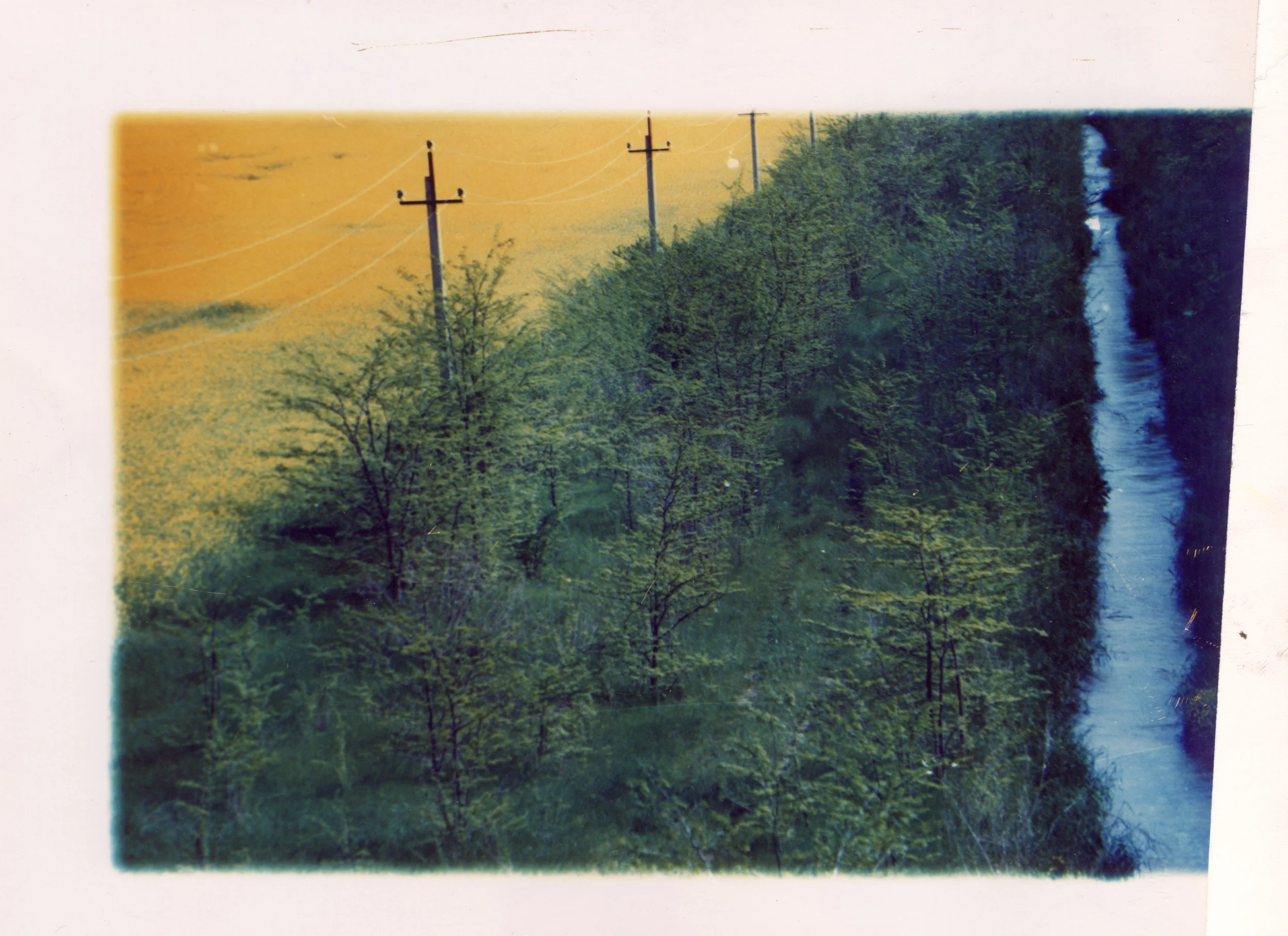 Andrew Pershin signal aspect.jpg