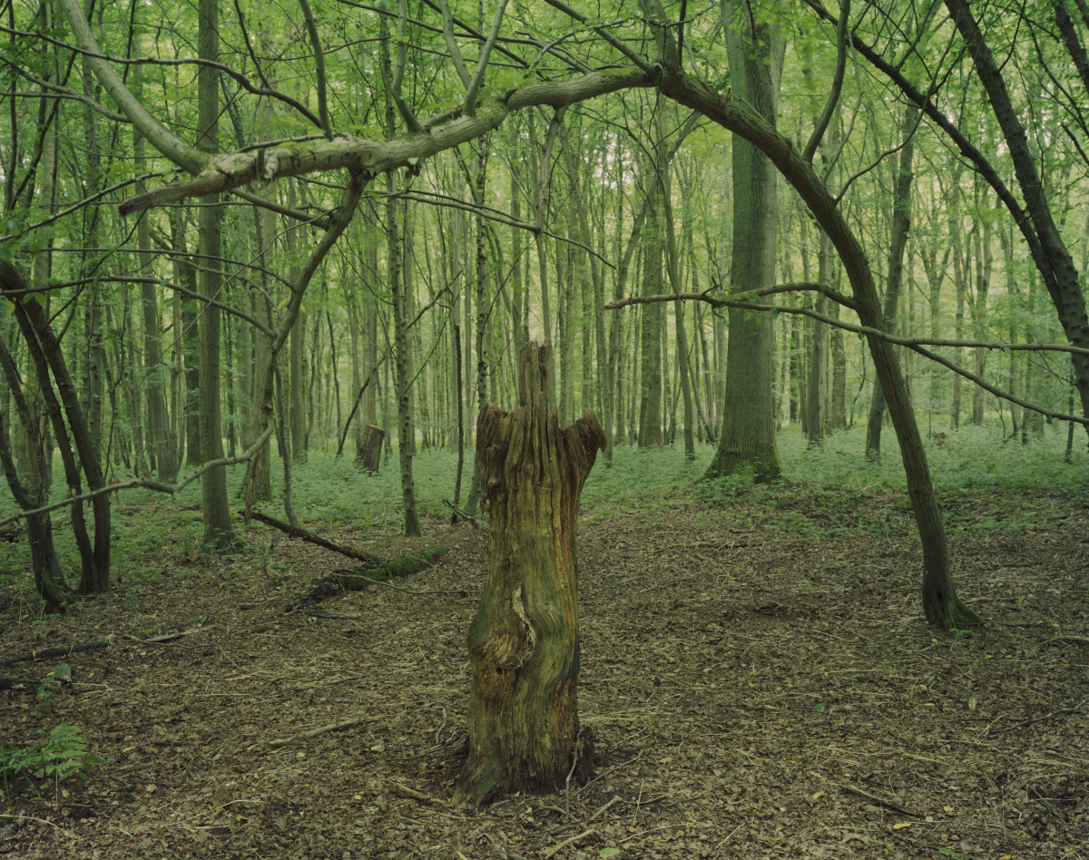 Mametz: Aled Rhys Hughes & David Jones