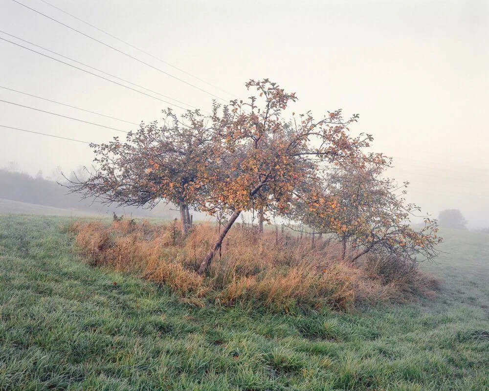 Image © Joe Wright