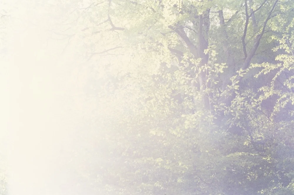 Expired slide film. © Jon Pountney