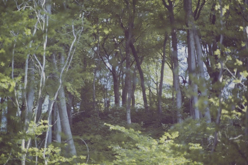 Expired slide film. © Jon Pountney