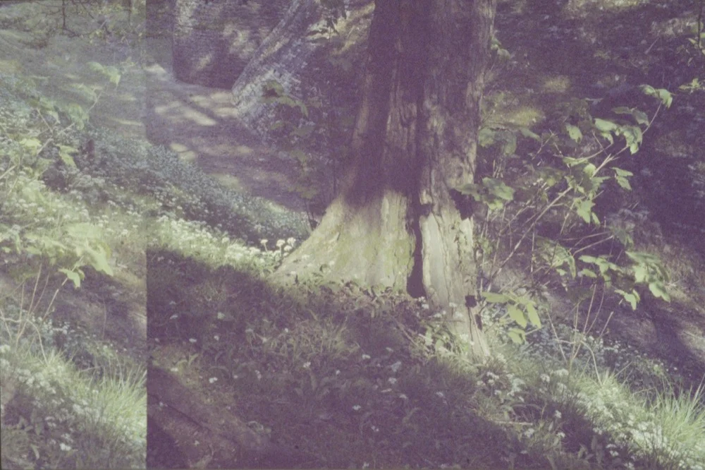 Expired slide film. © Jon Pountney