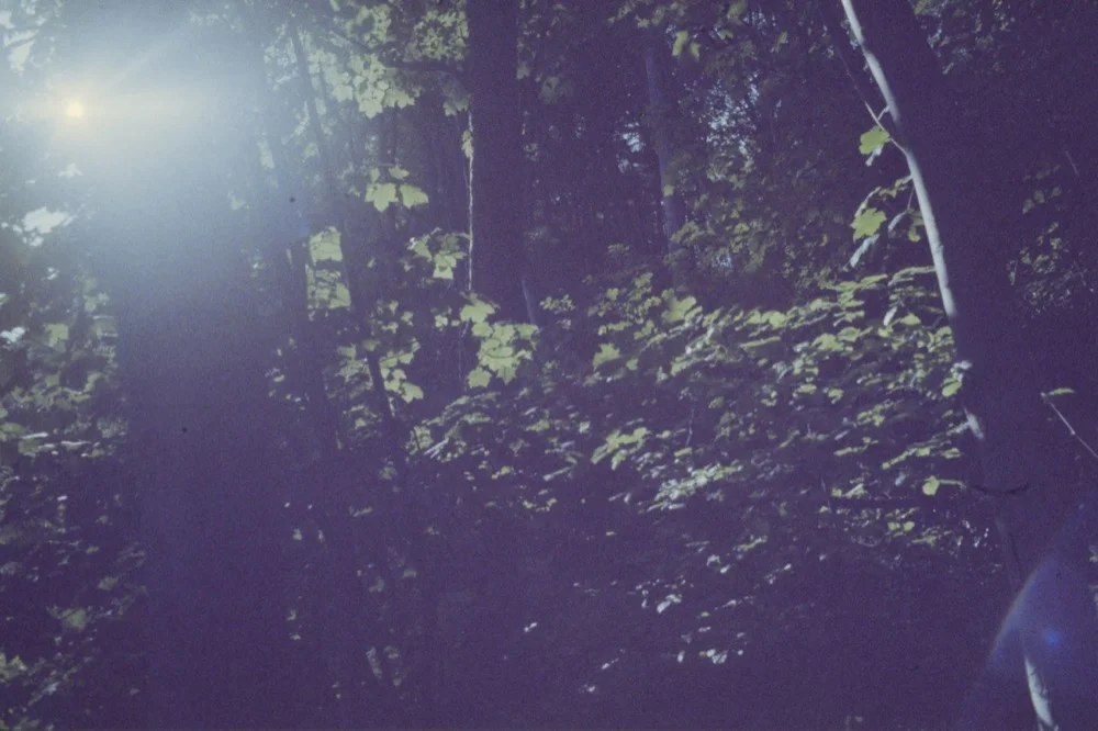 Expired slide film. © Jon Pountney