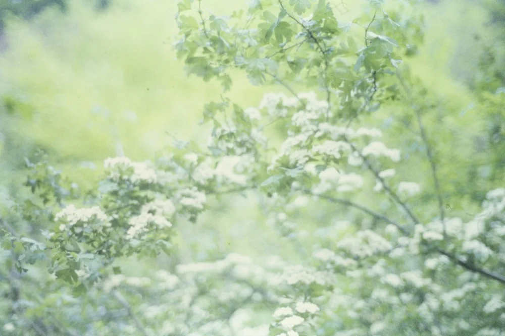 Expired slide film. © Jon Pountney