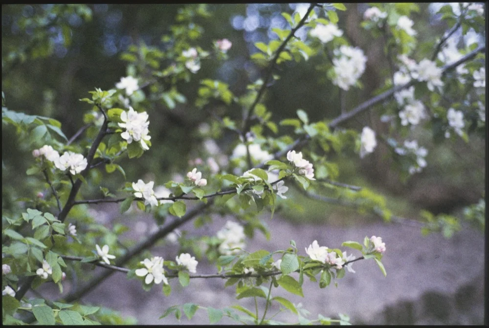 Expired slide film. © Jon Pountney