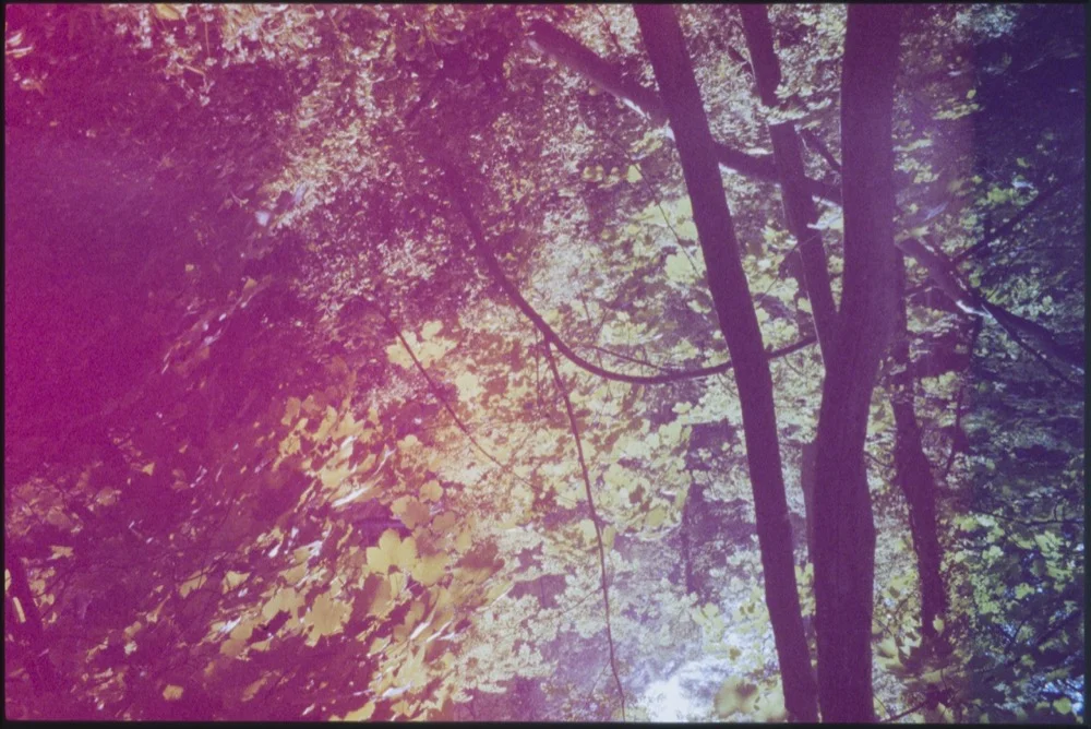 Expired slide film. © Jon Pountney